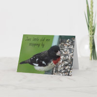 Baltimore Oriole aparece para dizer *FELIZ ANIVERS
