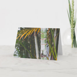 Cartão Bambu de México