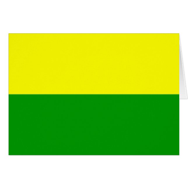 Cartão Bandeira da Haia (Frente Horizontal)