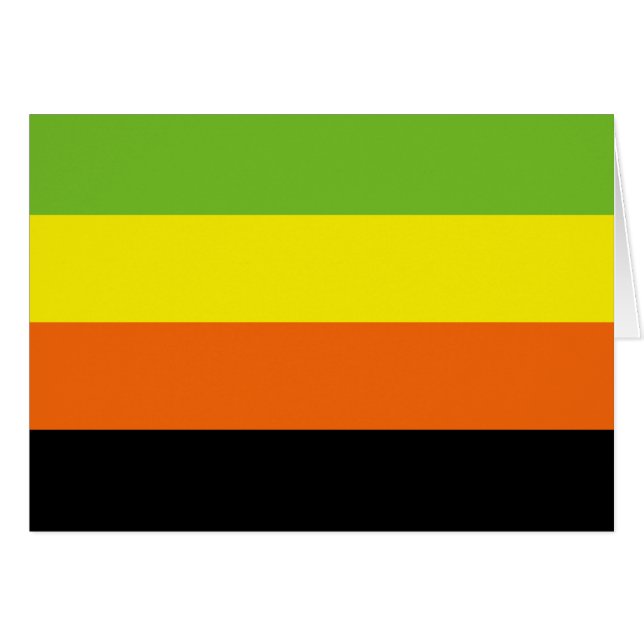 Cartão Bandeira do Orgulho Aromântico (Frente Horizontal)