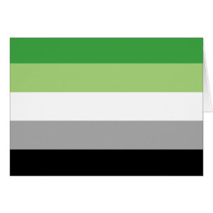 Cartão Bandeira do Orgulho Aromântico LGBTQ
