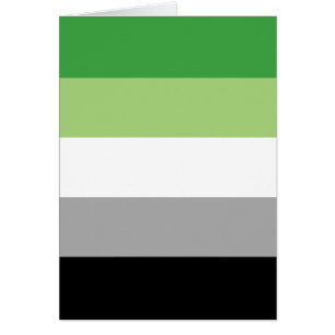 Cartão Bandeira do Orgulho Aromântico LGBTQ