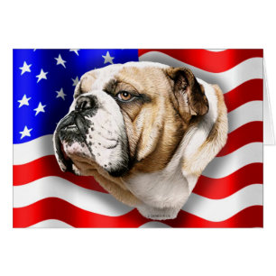 Cartão Bandeira dos E.U. do patriota do buldogue