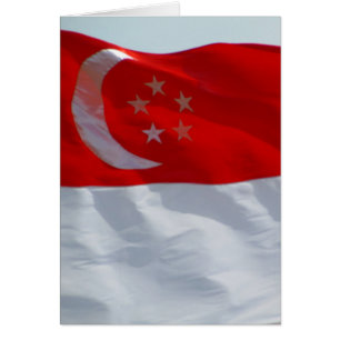 Cartão bandeira singapore