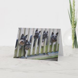 Cartão bando de cães