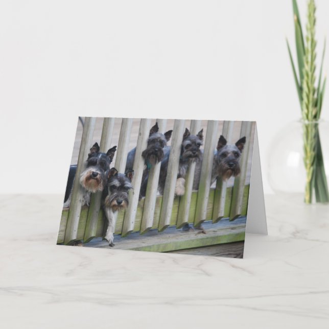 Cartão bando de cães (Frente)