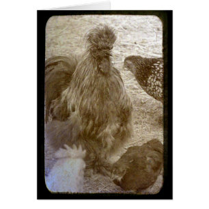 Cartão Bando de Muitas Cores