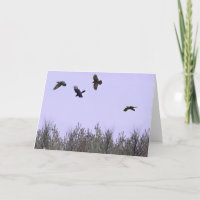 Bando de Ravens