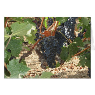 Cartão Bando de Uvas