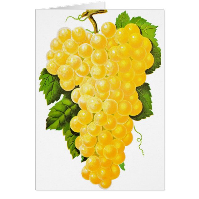 Cartão Bando de Uvas (Frente)
