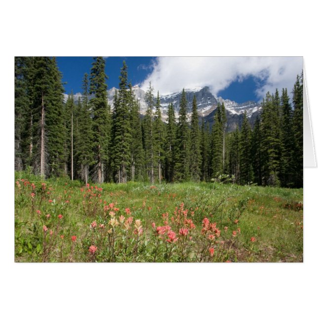 Cartão Banff Flowers Canadá (Frente Horizontal)