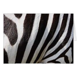 Cartão Banheiras de Cabelo de Zebra Negra e Branca