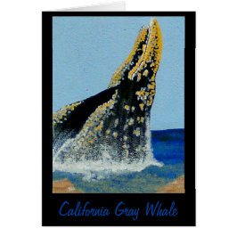 Cartão Banheiras do Bubblepacific