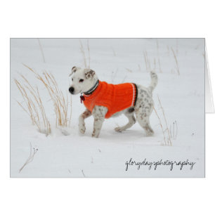 Cartão Banjo, dia da neve