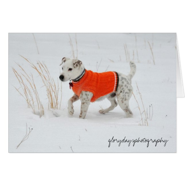 Cartão Banjo, dia da neve (Frente Horizontal)