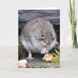 Cartão Bank vole scotland