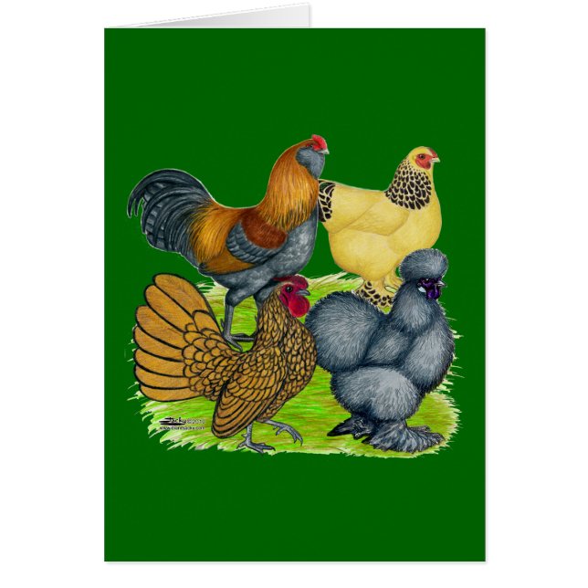 Cartão Bantam Quartet (Frente)