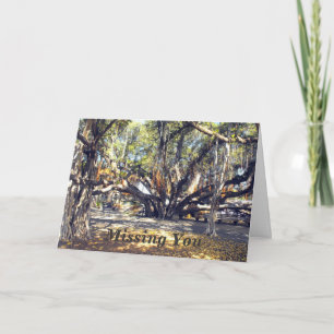 Cartão Banyon Tree em Lahaina Maui, Sente Sua Falta