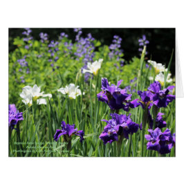 Cartão Baptisia False Indigo, Branco e Duplo Roxo Sib