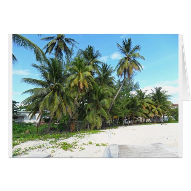 Cartão Barbados 2010 279 (Frente Horizontal)