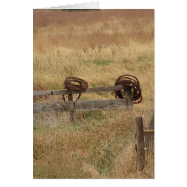 Cartão Barbed Wire (Frente)
