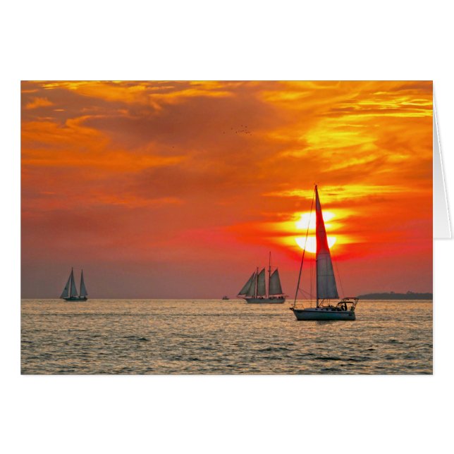 Cartão Barcos à vela em Key West, Florida, Sunset (Frente Horizontal)