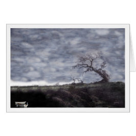 Cartão Barcos-avariados e Carvalho