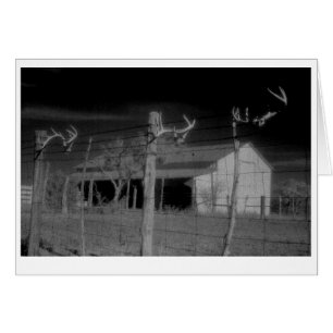 Cartão "Barn e Antlers"