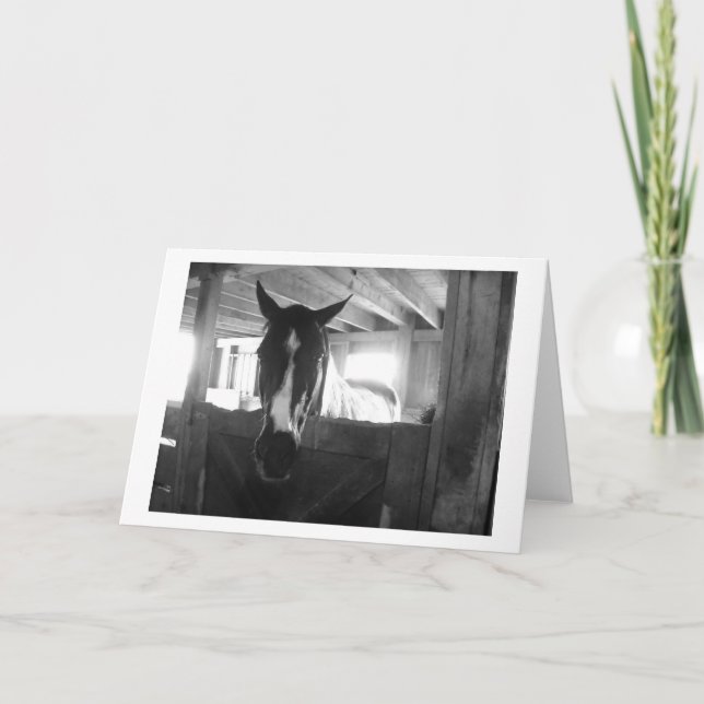 Cartão Barn Horse (Frente)
