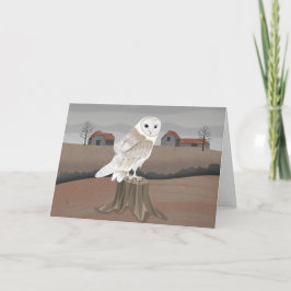 Cartão Barn Owl