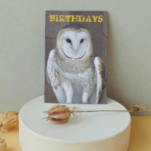 Cartão Barn Owl Photo Funny Birthday Card