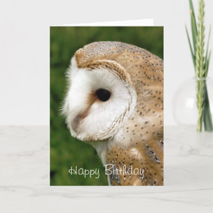 CARTÃO BARN OWLS