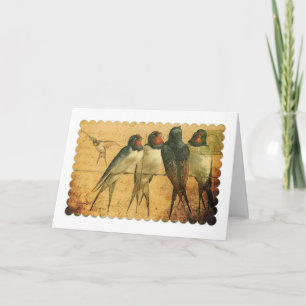 Cartão Barn Swallow, Aniversário