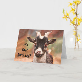 Cartão Barnyard Goat Cute Engraçado