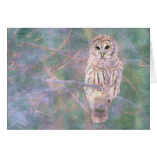 Cartão Barred Owl Pastel Oilpainting