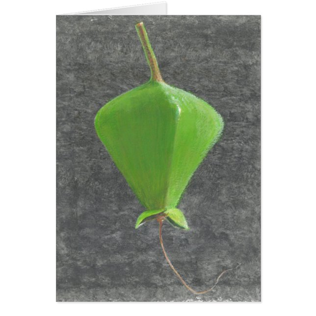 Cartão Barringtonia Acutangula (Frente)
