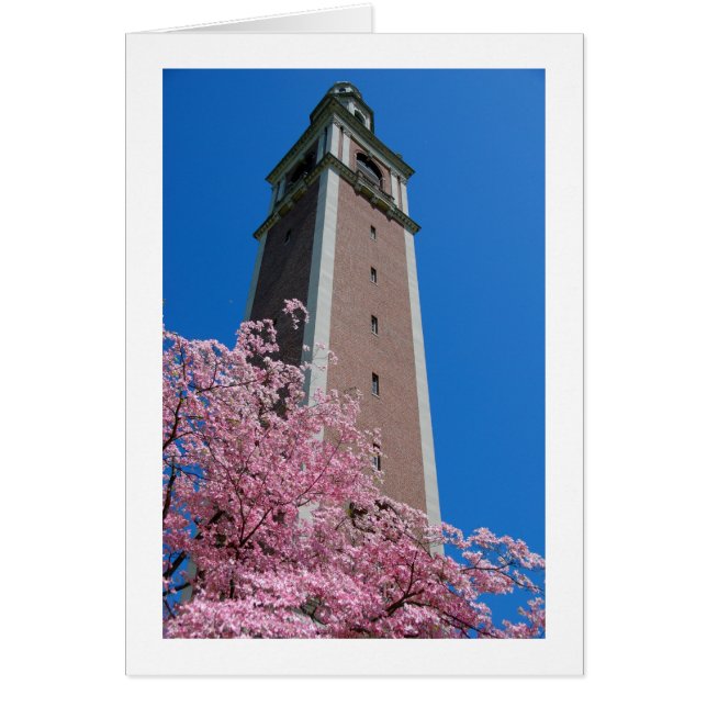 Cartão Baseado no rosa (Frente)