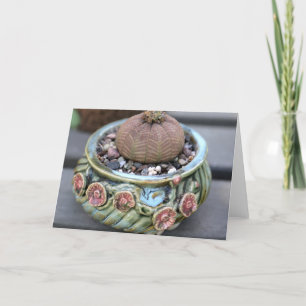 Cartão Baseball Plant Notecard by Succulent Designs