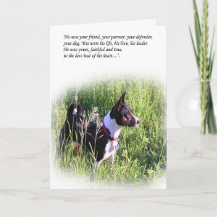Cartão Basenji Rainbow Bridge Card