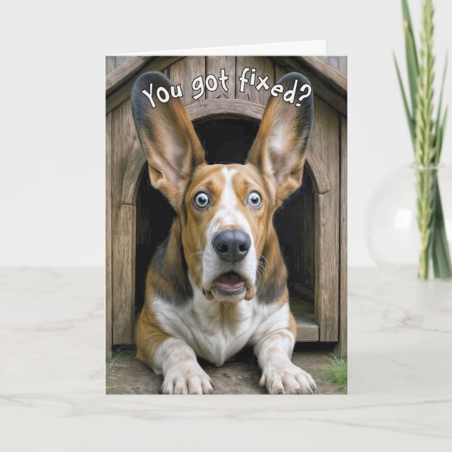 Cartão Basset Hound de Vasectomia Surpresa (Frente)