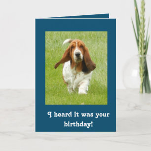 Cartão Basset Hound funny birthday card