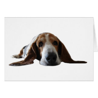Cartão Basset Hound que encontra-se para baixo