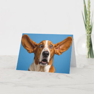 Cartão Basset Hound Surpreendeu Aniversário