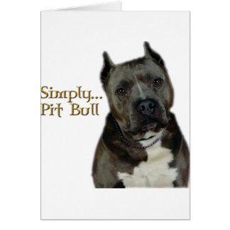 Cartão Basta PitBull