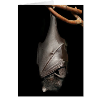 Cartão Bastão no preto