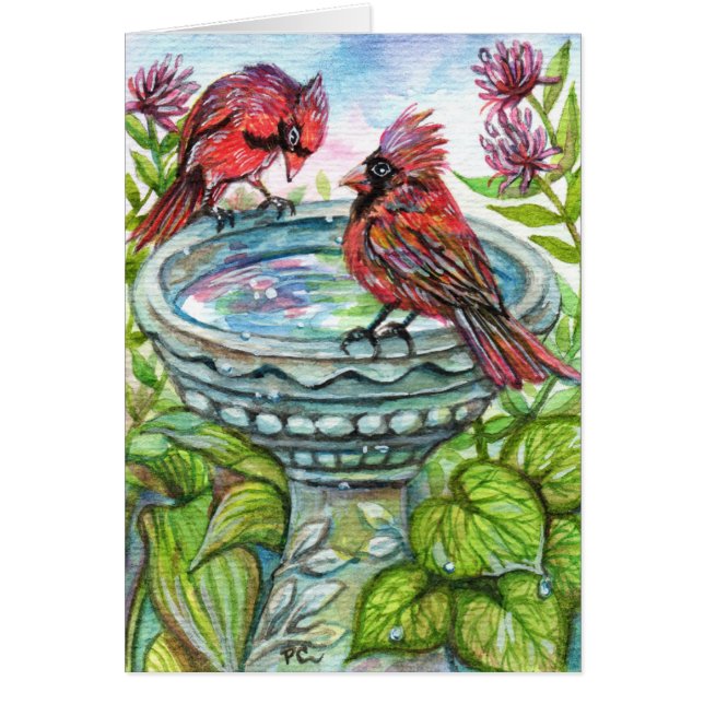 Cartão Bath de Pássaro (Frente)