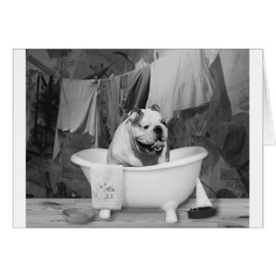 Cartão Bath Time, grande companheiro