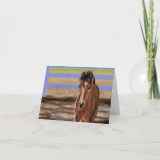 Cartão Bay Filly