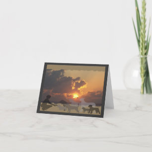 Cartão BCD Sunset Sympathy Card
