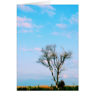 Cartão Be Not Barren - Scripting Card